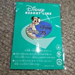 2025年最新】ディズニーリゾートライン ピンバッジの人気