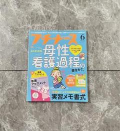 プチナース 2019年6月 洗髪 母性看護過程 実習メモ書式