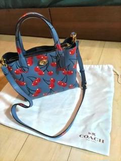 2025年最新】coach チェリー バッグの人気アイテム - メルカリ
