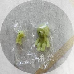 b*n様 スミスキー 中古 値下げ！ 激レア！ スミスキー シークレットの通販 by かず's