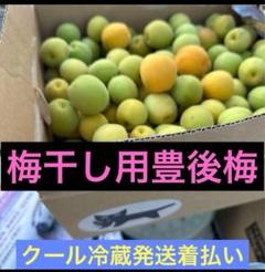 函館近郊産豊後梅20キロサイズL以上 本州向けクール冷蔵着払い‼️レモン色の豊後梅2.5キロサイズL