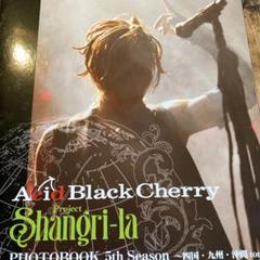 Acid Black Cherry Project Shangri―la 5t…