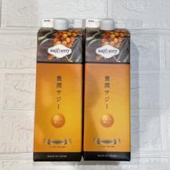 豊潤サジー⭐︎1000ml 3本セット フィネス豊潤サジー3本セット