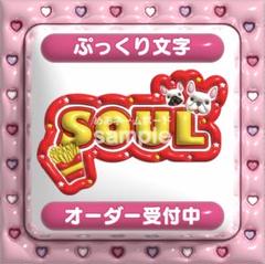 【SOUL ソウル ASTRO】ネームボード オーダー ぷっくり 文字 SOUL ソウル ASTRO】ネームボード オーダー ぷっくり 文字