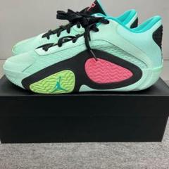 ☆匿名発送☆訳あり ナイキ ジョーダン テイタム 2 バッシュ Jordan NIKE TATUM 2 Legacy PF FJ6458 100 メンズ ホワイト 白