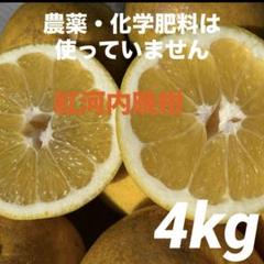 天草晩柑20kg生産者直送、農薬・化学肥料不使用❣️ 天草晩柑 20kg 生産者直送、農薬・化学肥料不使用❣️
