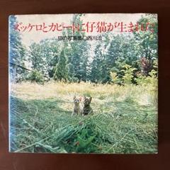 お値下げしました。西川治　写真集　ズッケロとカピートに仔猫が生まれた。 ズッケロとカピートに仔猫が生まれた｜恵文社一乗寺店