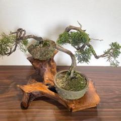 楽天市場】花台 木製 床の間 和風 盆栽台 無垢 飾り台 欅 飾り板