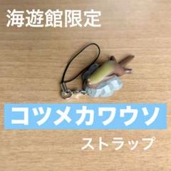 2025年最新】海遊館ストラップの人気アイテム - メルカリ