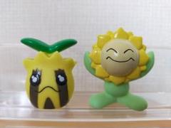 2025年最新】ポケットモンスターヒマナッツの人気アイテム