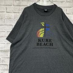 USA製90sヴィンテージTシャツ！シングルステッチグレー半袖古着　2XL724