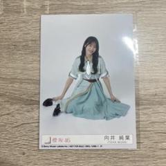 2025年最新】向井純葉生写真の人気アイテム - メルカリ