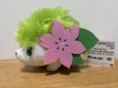 新品タグ付き　ポケットモンスター カラーセレクションぬいぐるみ　シェイミー