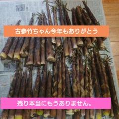 ぷてくん専用出品　大大ベテラン様向け　古参竹 　五三竹　 箱込み１０キロ 2025年最新】古参竹の人気アイテム - メルカリ