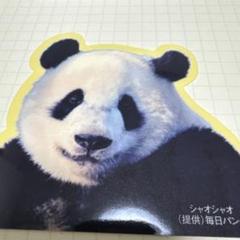上野動物園 シャオレイ ビッグステッカー☆ノベルティ