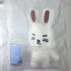 エスクプス ぬいぐるみ MINITEEN ポップアップ セブチ MINITEEN ポップアップ ぬいぐるみ エスクプス - メルカリ