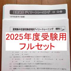 2024年サピックス6年 理科 算数 夏期集中志望校錬成特訓デイリー