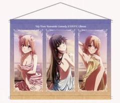 俺ガイル アトレ 限定 くじ引き当選品 クリアポスター 5枚セット やはり俺の青春ラブコメはまちがっている。完よりラバーマット