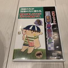 秀逸フラッシュDVD  １０巻セット バラ売り不可 秀逸フラッシュDVD