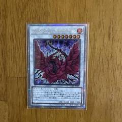 遊戯王 ブラックローズドラゴン 25th クオシク