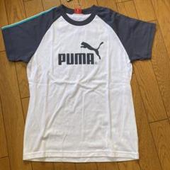 PUMA ラグランスリーブ Tシャツ ホワイト/グレー　150 新品タグ付き