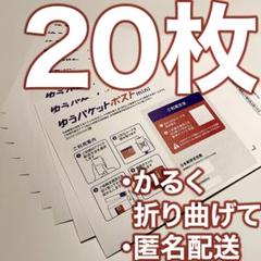 20枚）ゆうパケットポストmini封筒 [二つ折]_2041のサムネイル