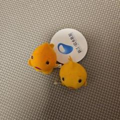 新品　新江ノ島水族館　ダンゴウオ　マグネット