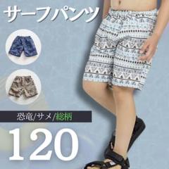サーフパンツ 水着 男の子 120 スイムパンツ スイムウェア キッズ 海