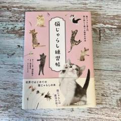 猫じゃらし練習帖