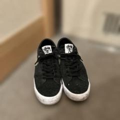 【STÜSSY NIKE SB】スエードスニーカー