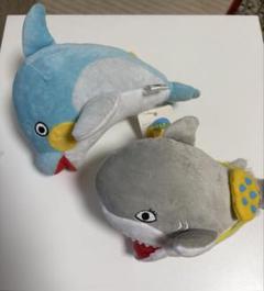 専用出品 いるかのぬいぐるみ Amazon.co.jp: ころころすいぞくかん イルカブルー みいるか