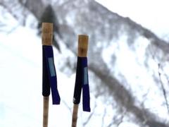 コメント欄受注KanazawaPOLES 竹バンブーストックポール　113cm〜 コメント欄受注KanazawaPOLES 竹バンブーストックポール 113cm
