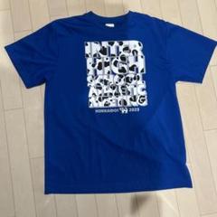 値下げ！Mizuno インターハイ2023 限定Tシャツ XL