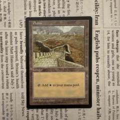 MTG APACランド 平地/Plains【英語版】非売品 m18535337676_1.jpg?1707724442