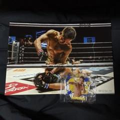 【激レア】直筆サイン RIZIN40 チーム元谷着用Tシャツ　元谷友貴　渡辺華奈 2025年最新】元谷友貴の人気アイテム - メルカリ