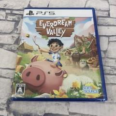 D4365 Everdream Valley -PS5