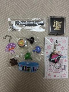 ナオトインティライミ グッズ マステ ピンバッジ ナオト・インティライミ グッズ会場販売事前予約窓口