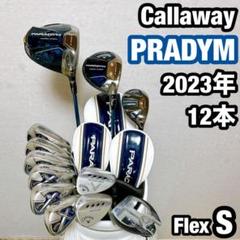 キャロウェイ パラダイム メンズ　クラブ　フルセット S 初心者　右利き