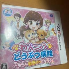 わんニャンどうぶつ病院 ステキな獣医さんになろう!