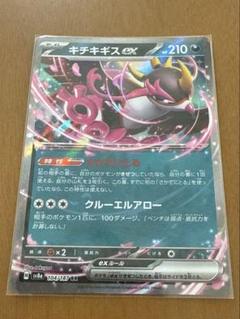 キチキギス ex RR