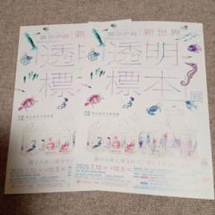 【東広島市立美術館】冨田伊織 新世界 透明標本展 フライヤー２枚のサムネイル