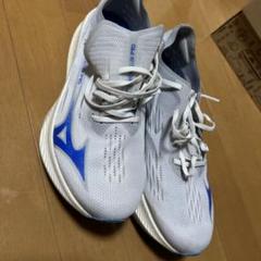 Mizuno Wave Rebellion natural 26.0
