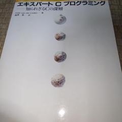 エキスパートCプログラミング : 知られざるCの深層