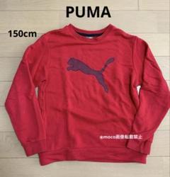 PUMA プーマ スウェット トレーナー 150cm 赤 レッド