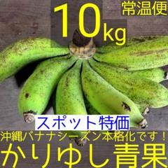 スポット特価〉沖縄県産 雑種 島バナナB品 約10kg【常温便】①