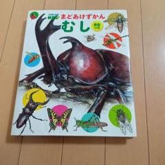 小学館の図鑑NEOまどあけずかん　むし 英語つき