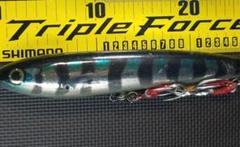 フィッシャーマン　ダイペン160 カーペンターGTガンマ160ft カーペンター GT-γ ガンマ 160 ヒラマサ 青物