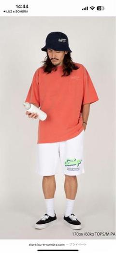 ルースイソンブラ　ドミンゴ　Cafe Domingo Tシャツ 3枚セット CAFE DOMINGO TEE | LUZeSOMBRA ONLINE STORE