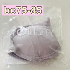 ⭐️新品未開封⭐️ TOLEETY パープル bc75-85 ブラ