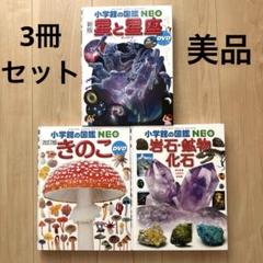 海外キノコ関係書籍　6冊セット 91BBQJNuh-S.jpg